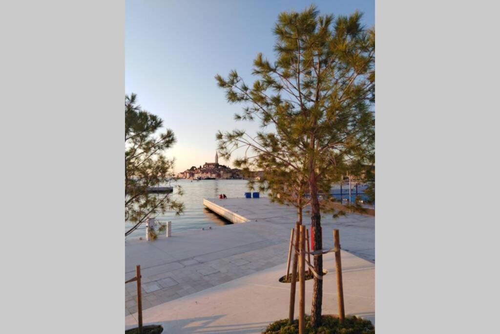 Apartman Sertic Nenad Rovinj Exterior photo